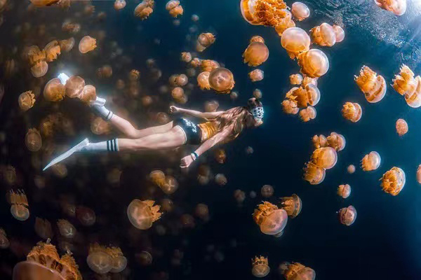 李艺（海南）《海底畅游-Swim in Sea》.jpg